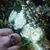 Dawn Marie Grant's profile image