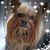 Randy E Miller's profile image