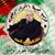 Nacereddine Mebarki's profile image