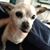 Paul Paulie DeVito's profile image