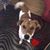 Patricia Lee Andrews's profile image