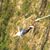 Natalie Guier's profile image
