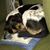 Carey Abernathy Barnett's profile image