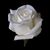 Amy Wisniewski's profile image
