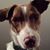 Dean Galvin's profile image