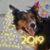 Kathy Lippo's profile image