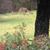 Susan Littleton Hatchett's profile image