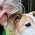 Bonnie Lynch's profile image