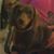 Paula Hartley's profile image