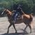 Destiny Lapeer's profile image