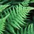 Nancy Beeg Eldridge's profile image