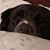 Caryn Pola's profile image