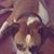 Rj Swist's profile image
