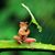 Marie Andrea's profile image