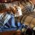 Linda Ovitt's profile image