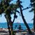 Jill Janes Jones's profile image