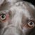 Bill Day's profile image