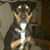 Karen Elizabeth Goldsmith's profile image