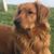Rhonda Jewett's profile image