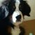 Cathy Vander Dussen Strang's profile image