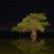 Bonetta Adams Smith's profile image
