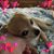 Michelle Williamson's profile image