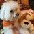 Jean Hoffmann's profile image