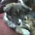 Shawn D Wysocki's profile image