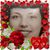 Tracy Lee Goldberg's profile image