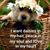 DeAnne Carlson's profile image