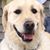 Karen Hayes's profile image