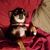 Melissa Hodges's profile image