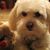 Linda P McJessy's profile image