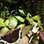 Mary Davis-Joines's profile image