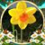 Robyn Pilbeam's profile image