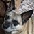 Judy Rathwell Wheeler's profile image