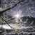 Terri Stamper's profile image