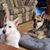 Lisa Gardiner Hall's profile image