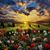 Morena Rosales de S's profile image