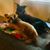 Colleen Ball Radovich's profile image