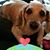 Marie Gage McIlrath's profile image