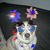 Jennifer Graham's profile image
