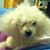 Janette Jakobs's profile image