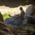 Donna Griego's profile image