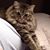 Char Druzbik's profile image