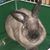 Jean Hawley Simmons's profile image