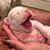 Amy Cross Castiglia's profile image