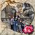 Gina M Bounds's profile image
