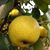 Mark Shang's profile image