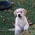Judy Matice's profile image